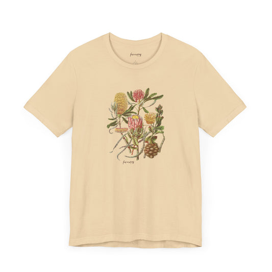 Protea Tribe