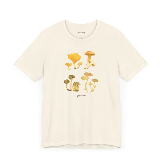 Fungi IV