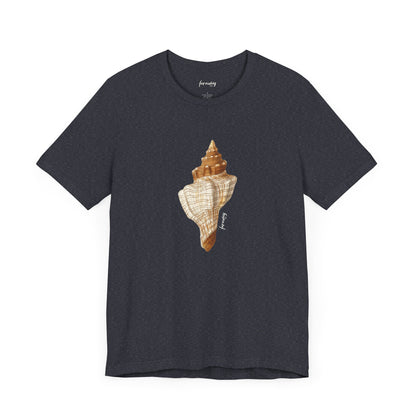 Shell Seeker IV