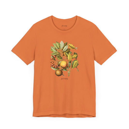 Sapodilla Tribe