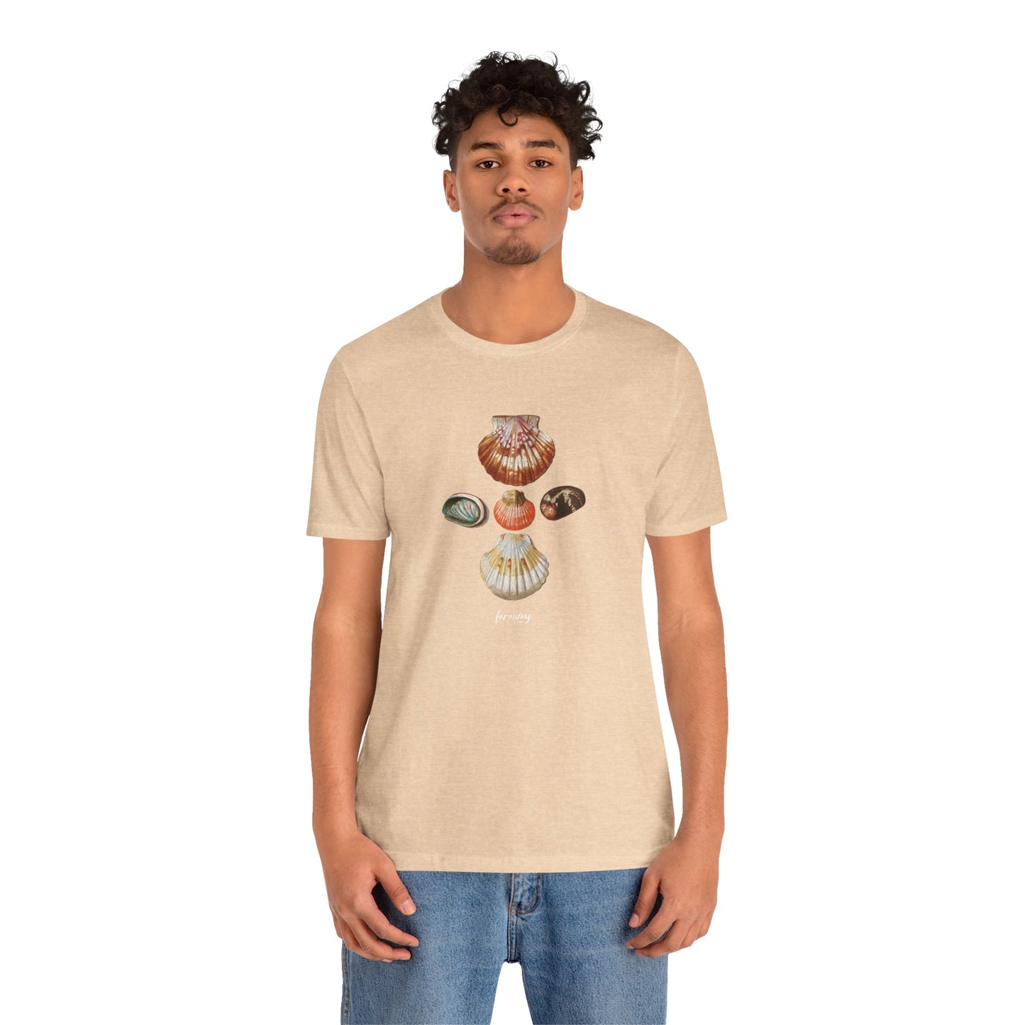 Shell Seeker VII